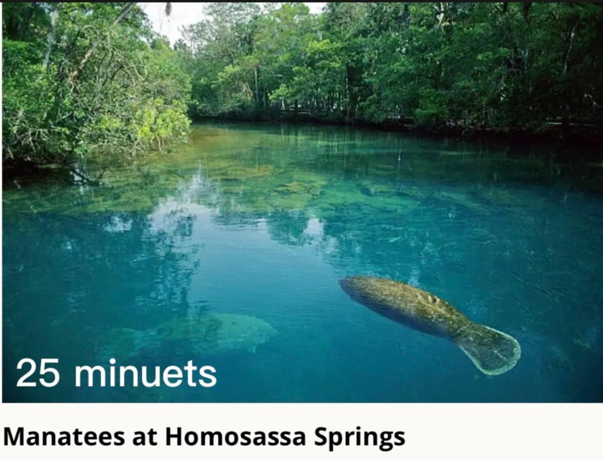 Bonne Nuit Weeki Wachee Villa Екстериор снимка